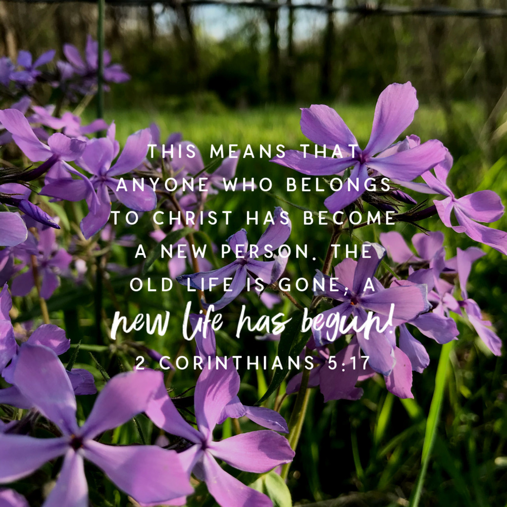 UNADJUSTEDNONRAW_thumb_67