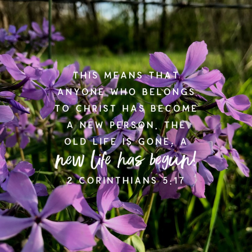 UNADJUSTEDNONRAW_thumb_67