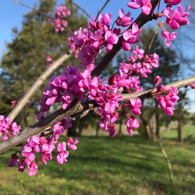 FB369C87-EB2E-49A8-9466-A977916416C9